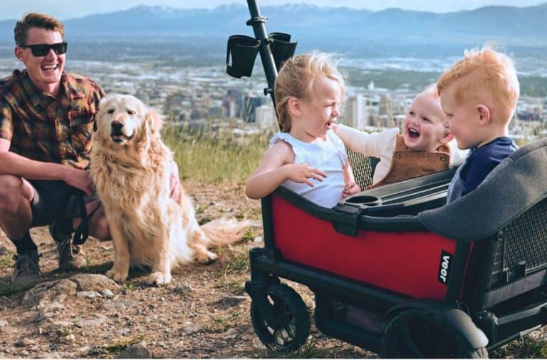 8 Best Stroller Wagons of 2023 – The Magic of Stroller + Wagon
