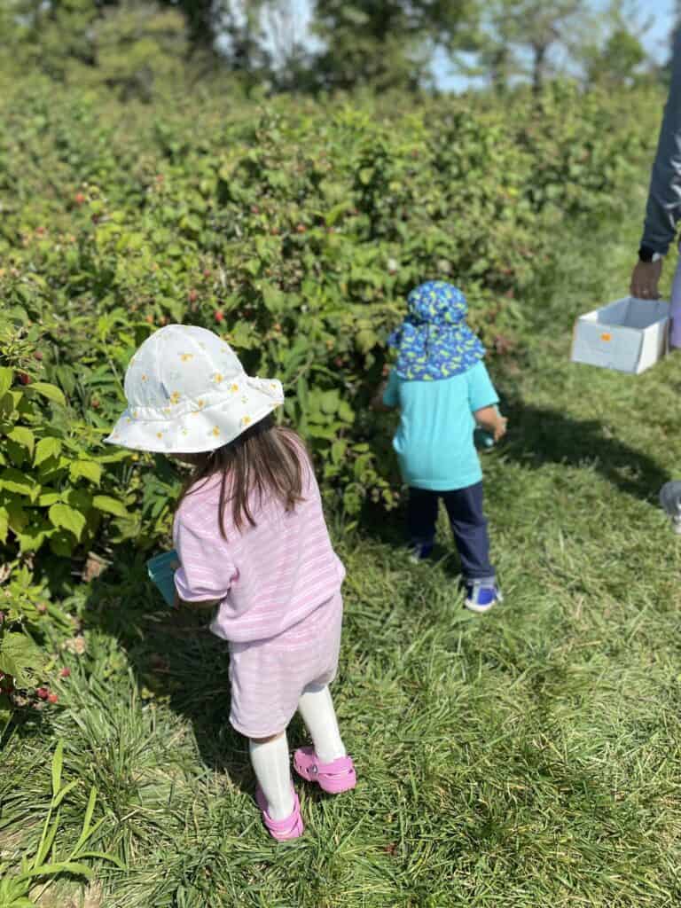 Sun hats for kids to have fun outside