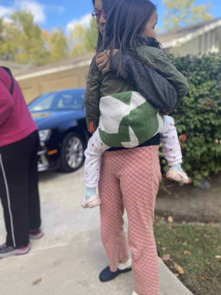 The Stroller alternative, toddler carrier  