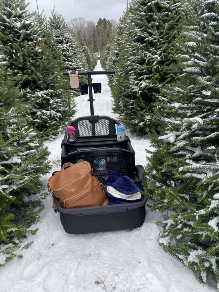 Veer Stroller wagon at a Christmas tree farm in the snow