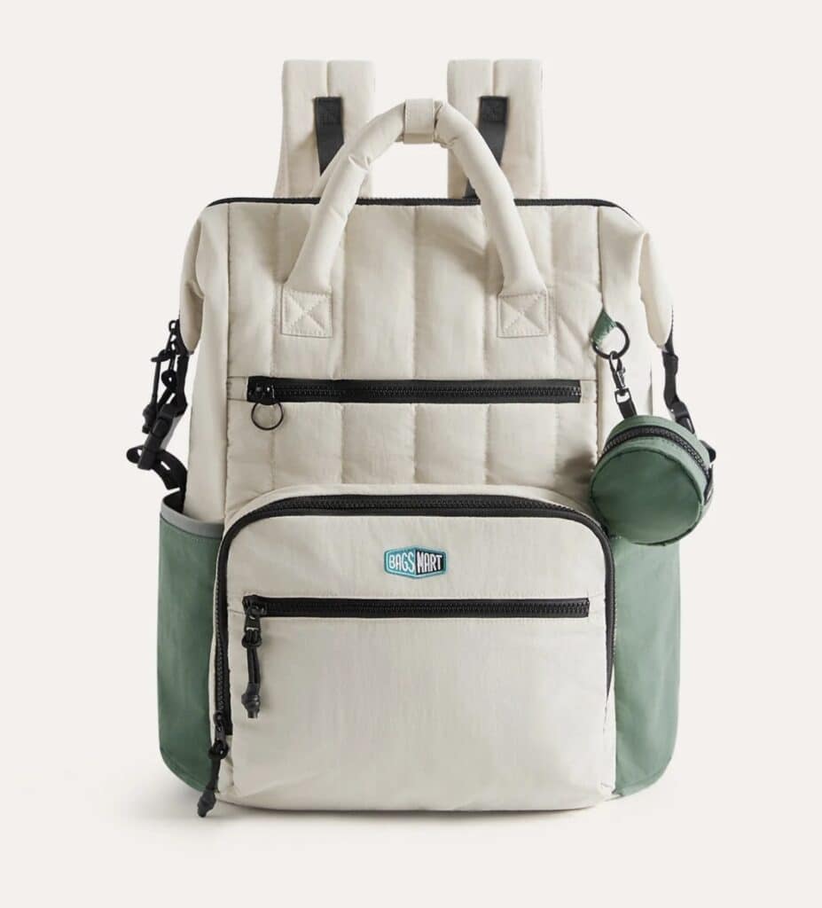 Bagsmart Paz Diaper Bag